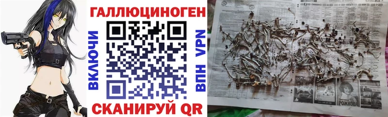 Псилоцибиновые грибы Magic Shrooms купить Корсаков